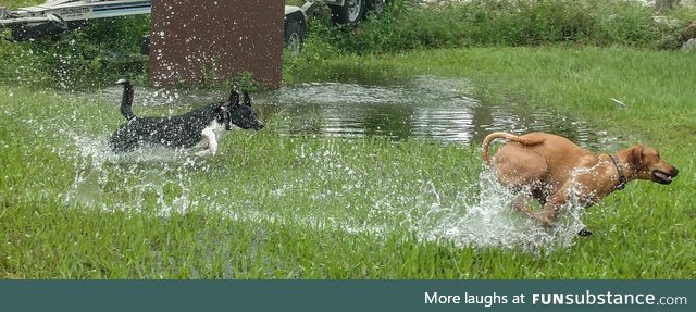 HECKIN SPEEDY WATER BOYES!