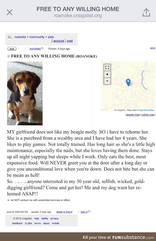 Another Craigslist's Gem