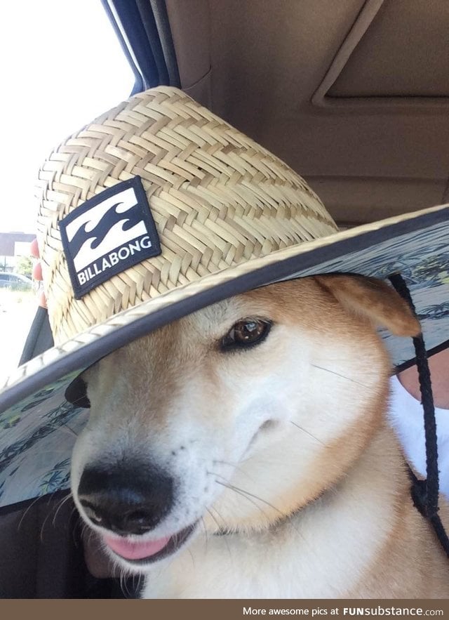 "wot in tarnation," rite friendos? its too hot in c a l i f u r n i a