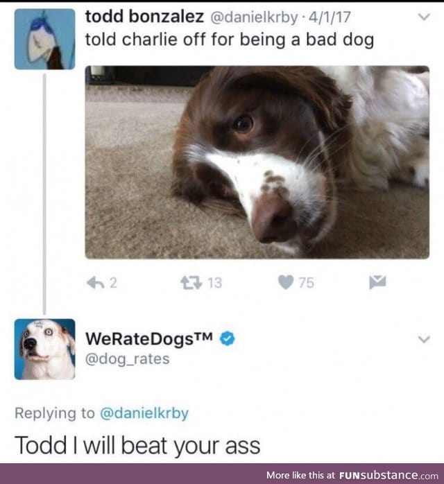 They're good dogs, Todd