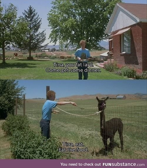 Napoleon Dynamite