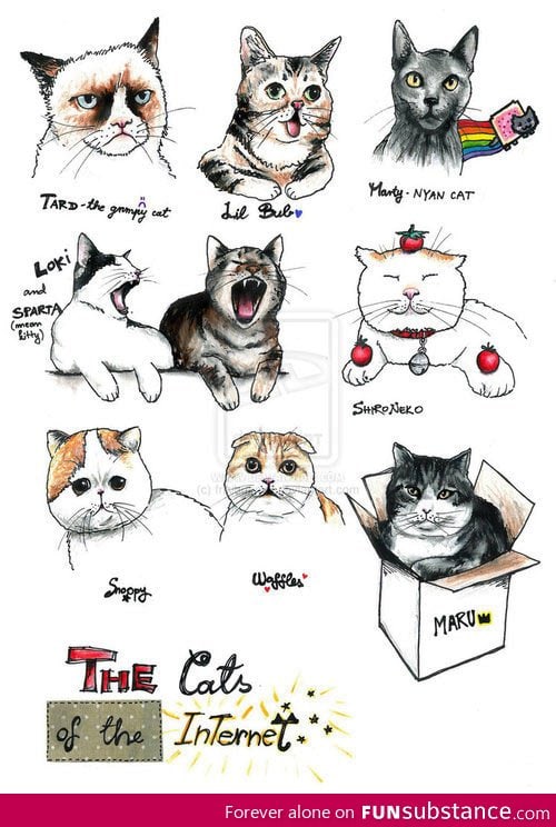 Internet Cats