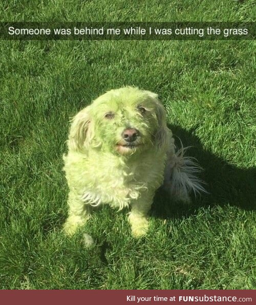 A green pupper