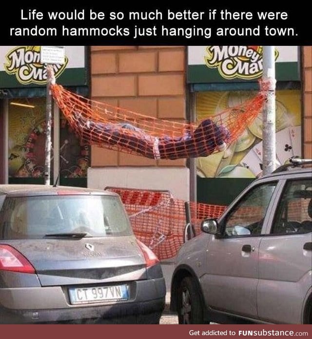 Life would be more fun with public hammock