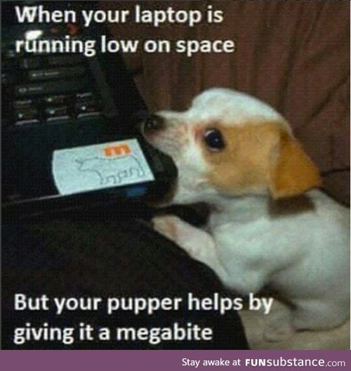 Itsa pupper!