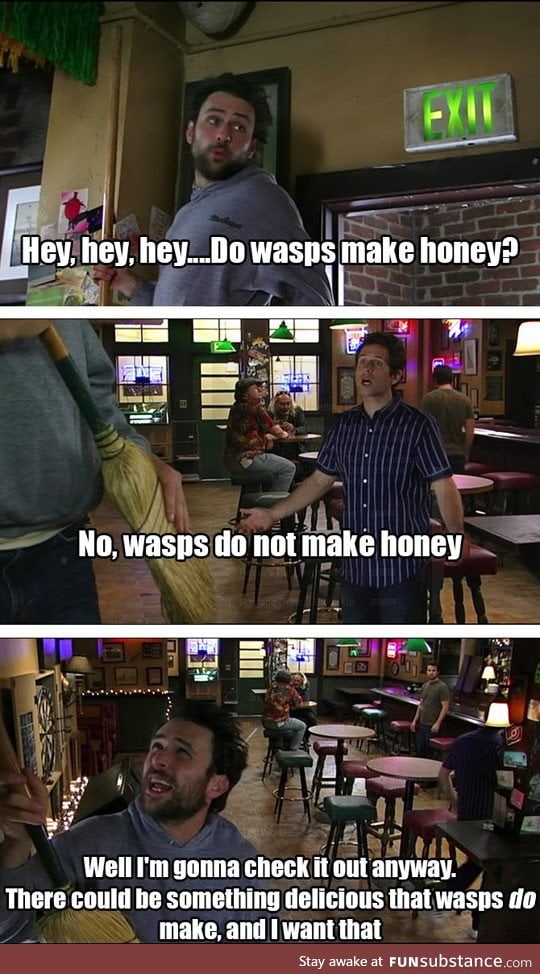 Do wasps make honey?