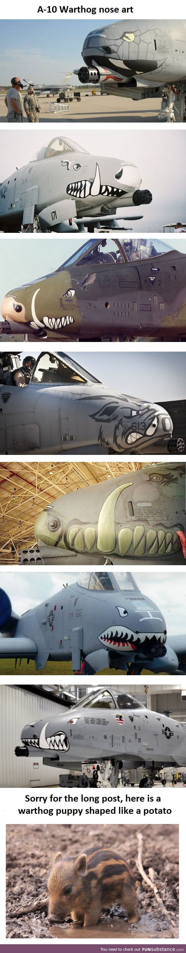 A10 Nose art