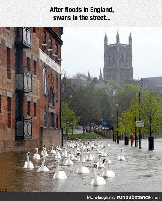 England flooding aftermath