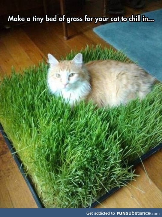 Bed of grass