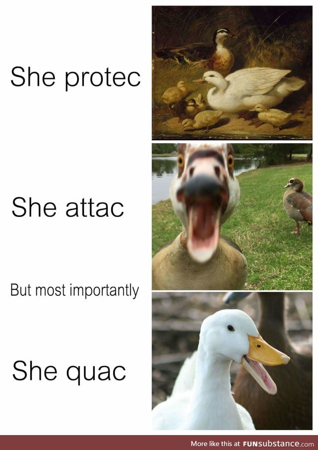 Quack