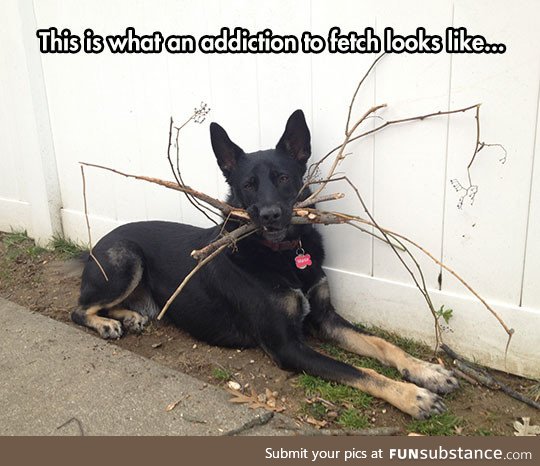 Addiction to fetch