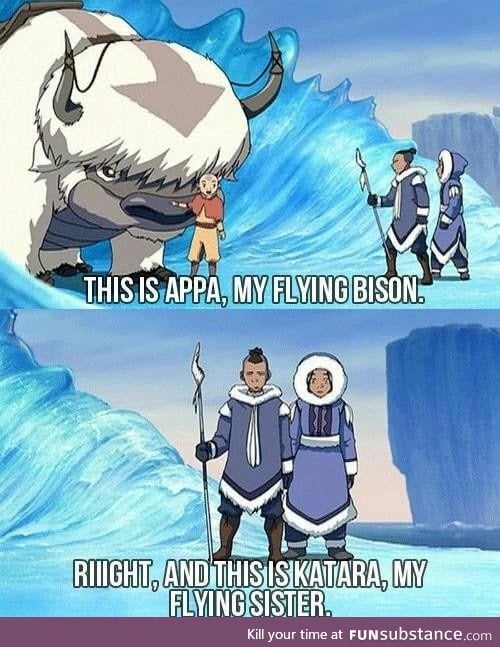 Sokka's sarcasm on point