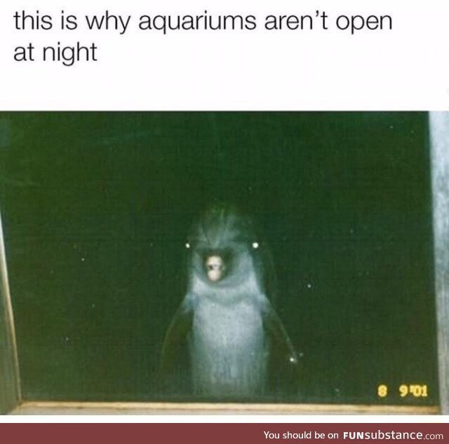 Aquariums are scary at night