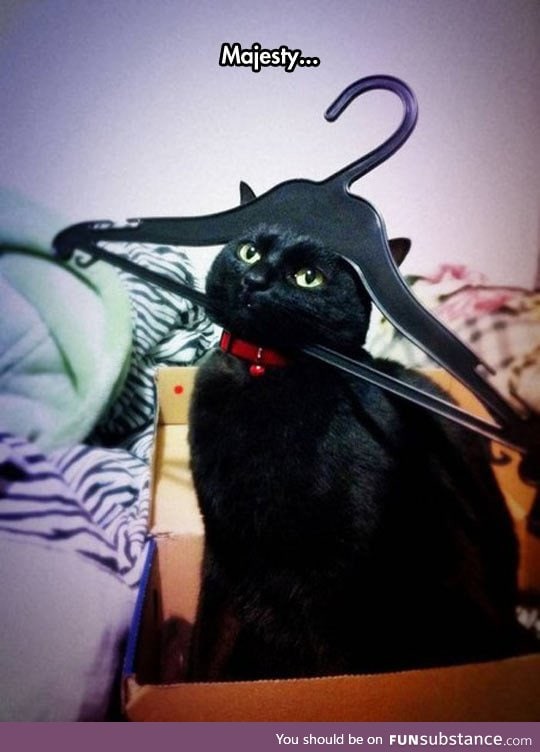 Napoleon bonacat