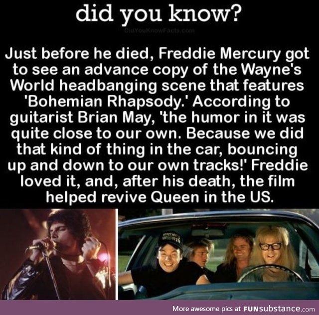 Rock on Freddie!