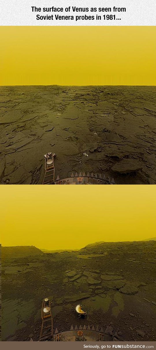 Surface of venus