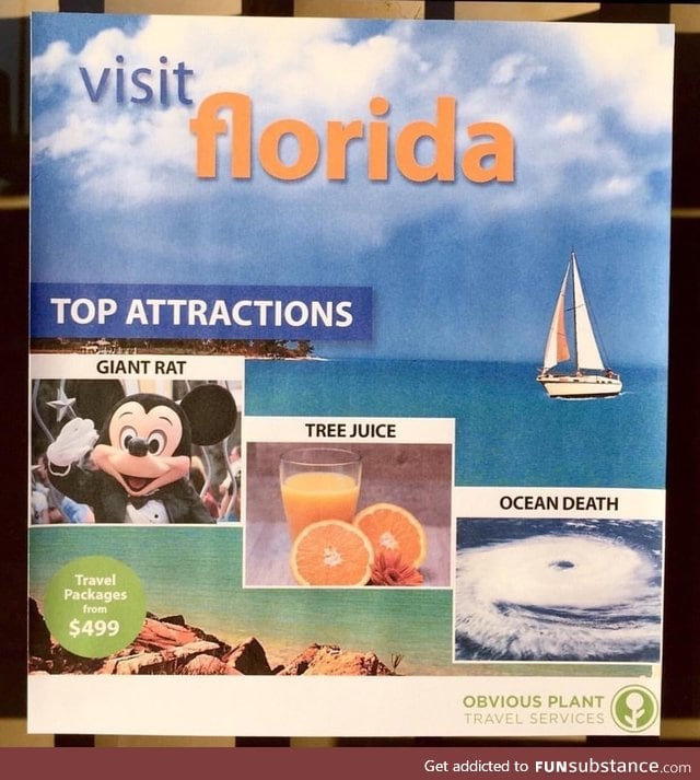 Florida's top attractions