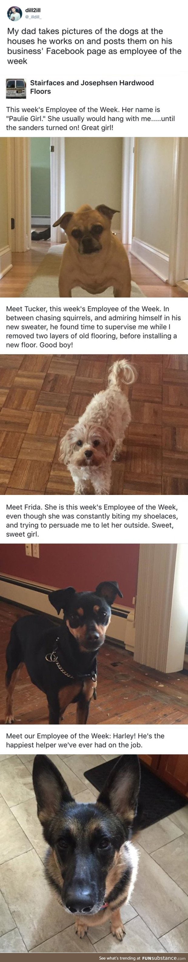 Employee of the Week