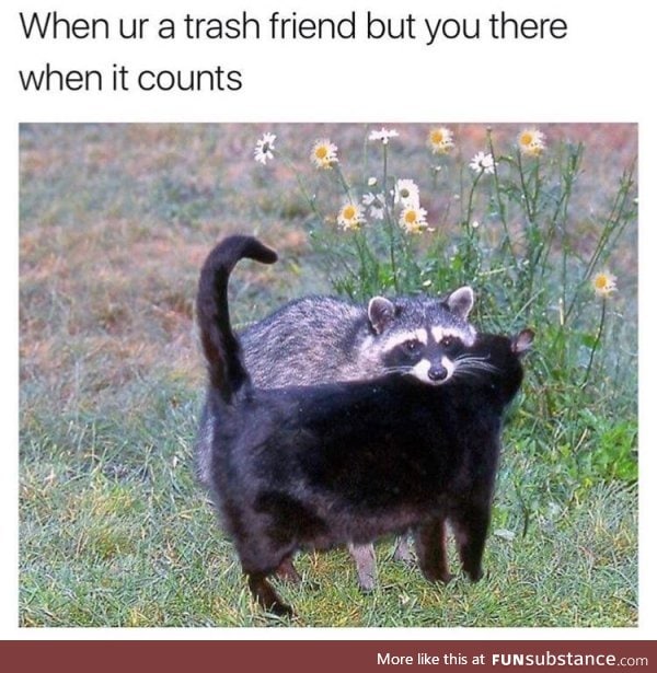 Trash boi is gud frend