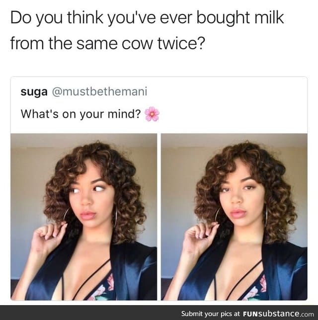 Same cow