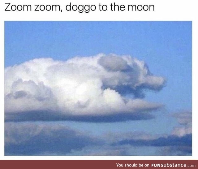 Dog cloud