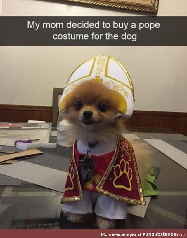 Cute  pope