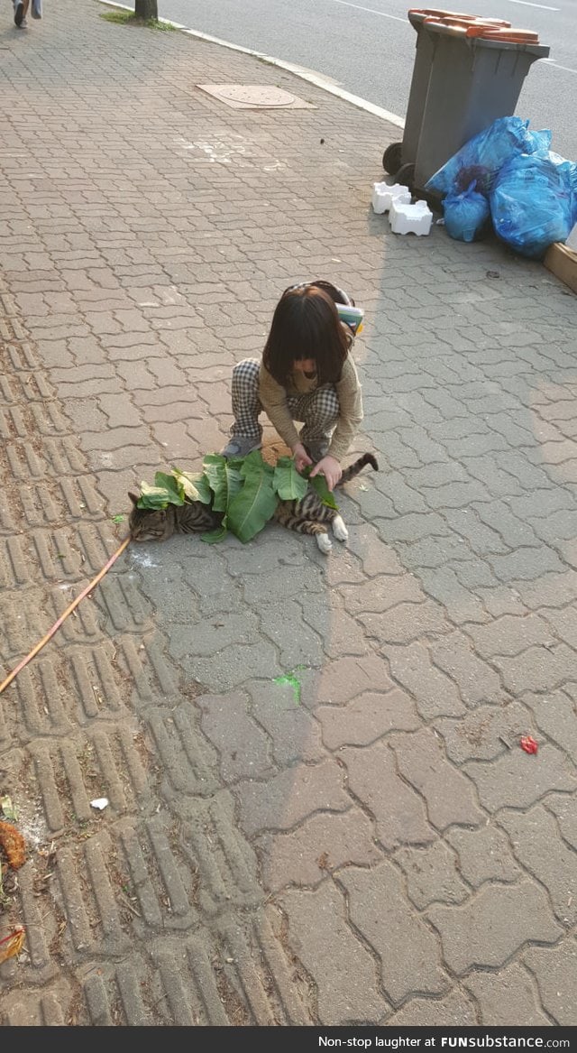 Kid covers sleeping cat with leaves when sunny