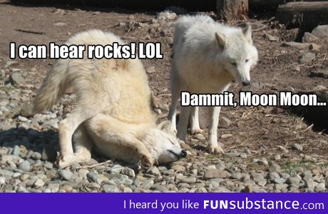 Moon Moon listens to Rock