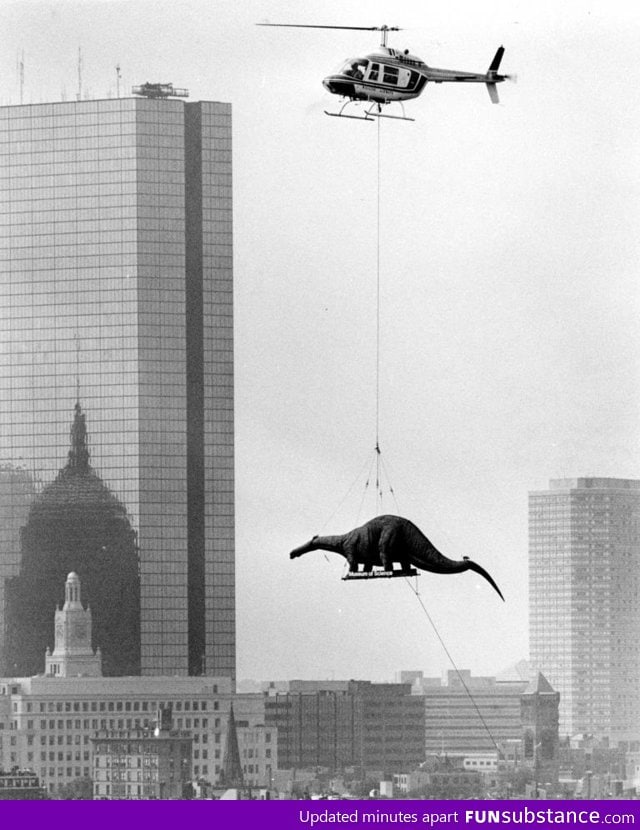 A dinosaur being delivered to the Boston Museum of Science in 1984 By helicopter