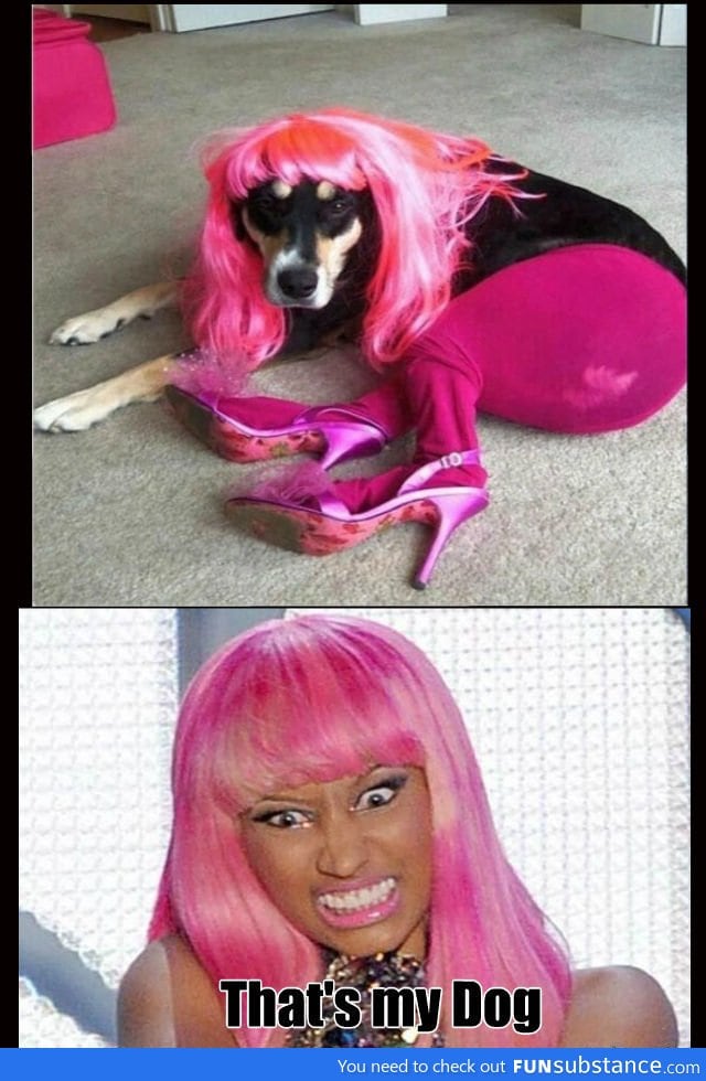 Nicki's Dog