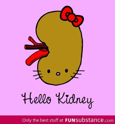 Hello Kidney