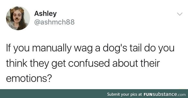 Wag the dogs tail