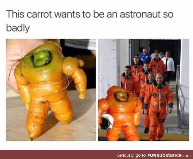 Astronaut carrot