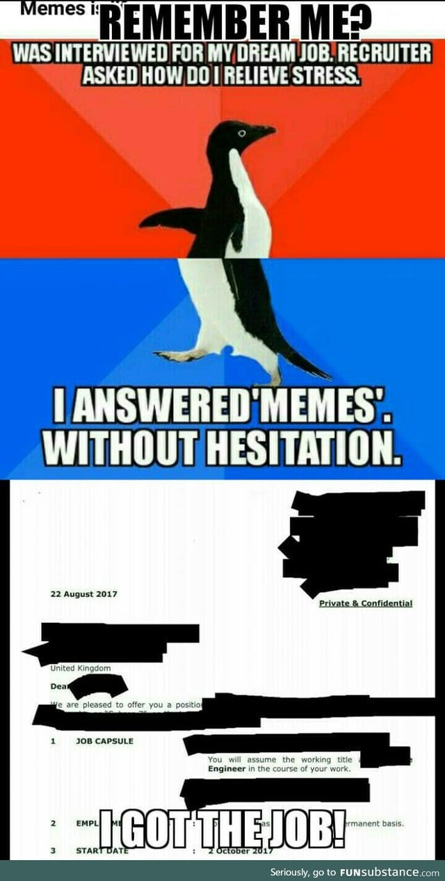 Memes got you the job