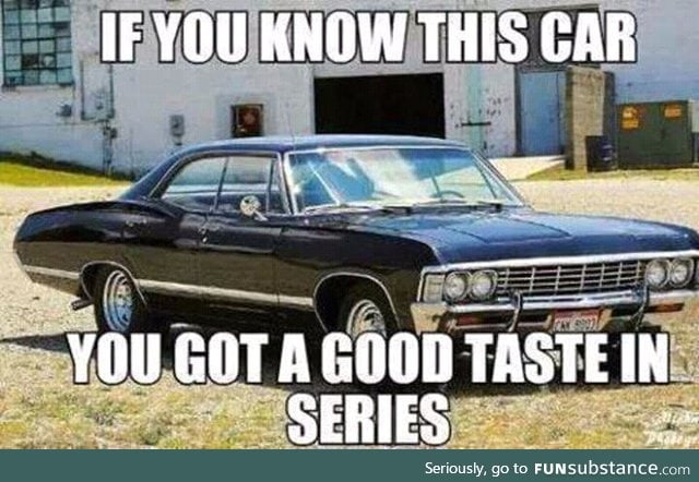 The impala