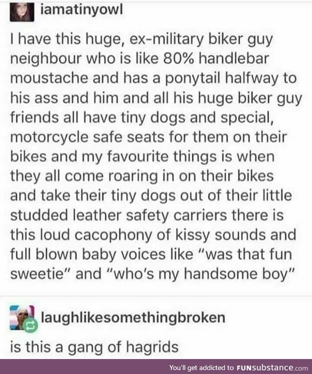 My kind of biker gang