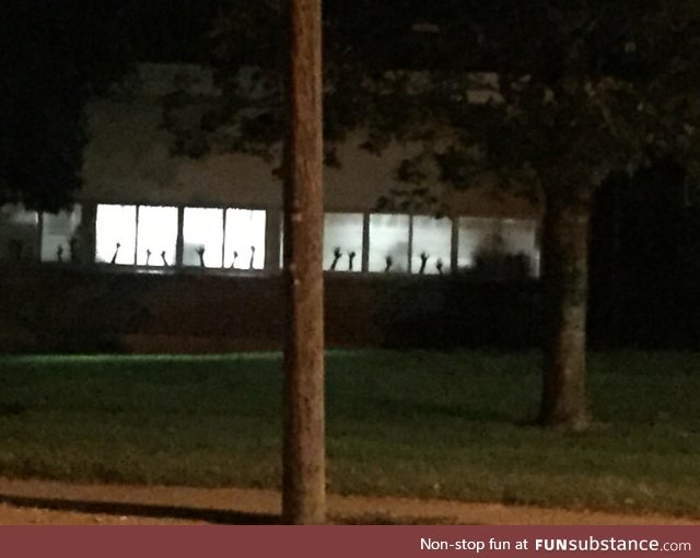 Kindergarten teacher had students trace their hands for the window