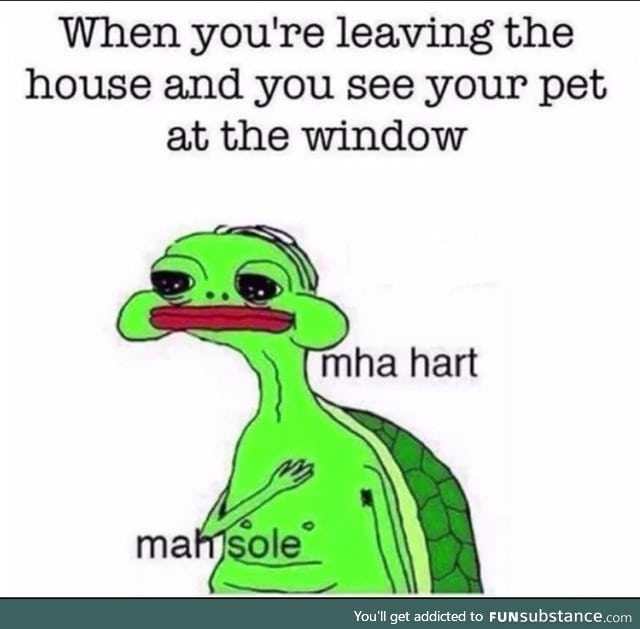 Dog owners will understand