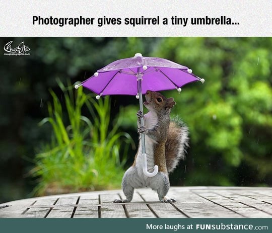 He's Singing In The Rain