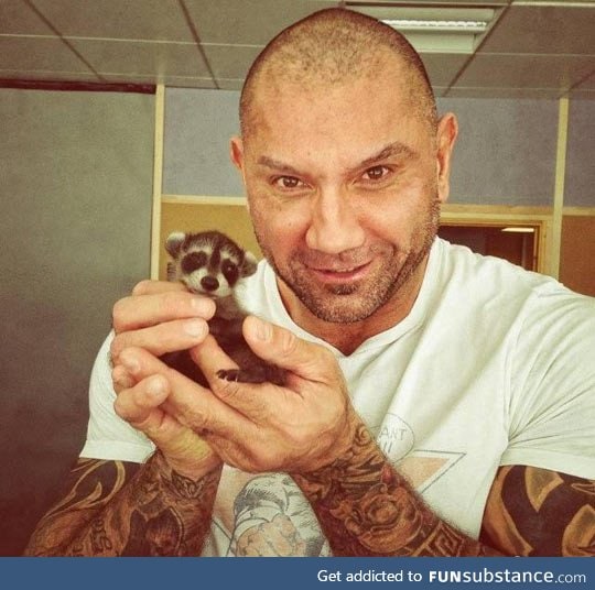 Drax the destroyer and rocket raccoon