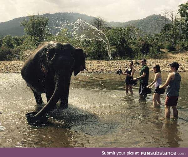 The water flying to the elephant looks a elephant too