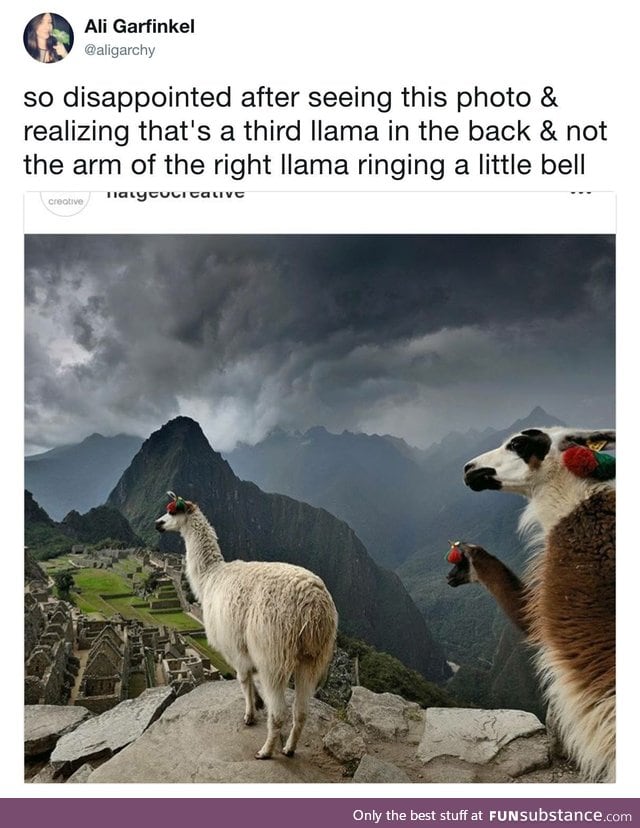 Llama llama llama