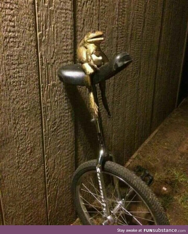 Here's come dat boi.