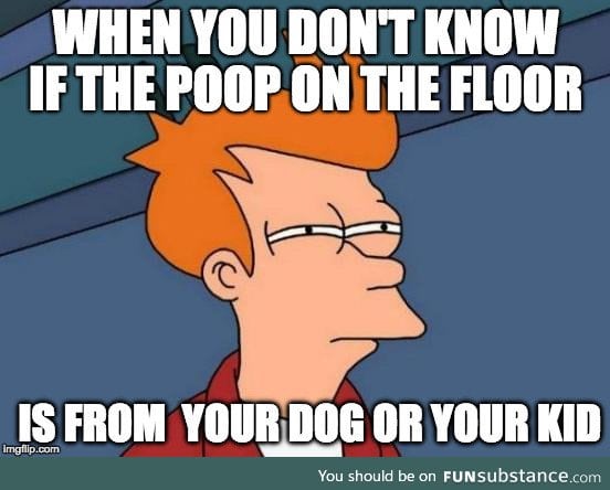 The joys of potty training