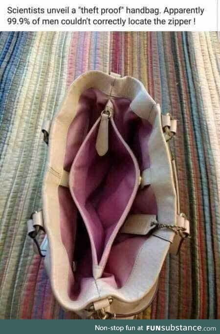 Theft proof Purse