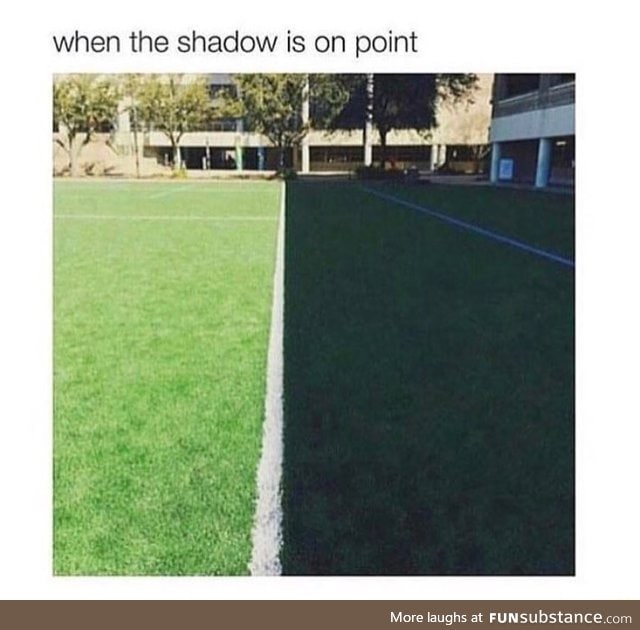 Shadow is on point