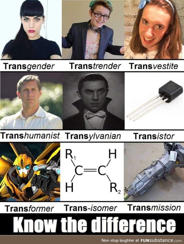 Trans? You need to be more specific