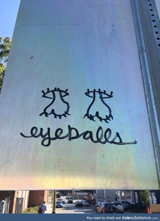 eyeballs