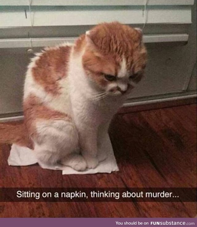 Cute murderer