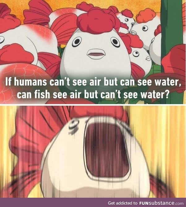 #FishPhysics